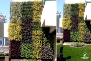 vertical-garden-design-hdfc-bank