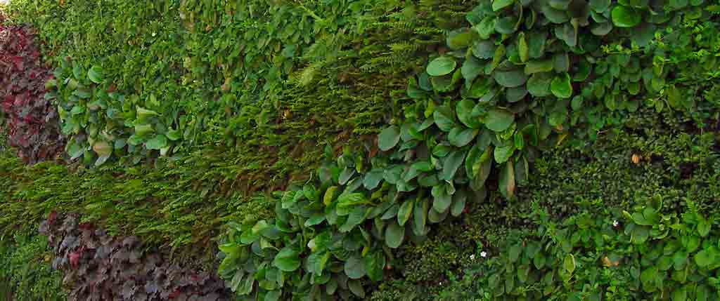 vertical-garden-ease-of-access