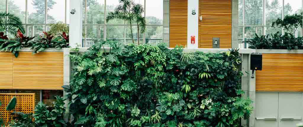 indoor-vertical-garden