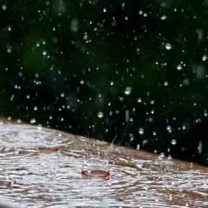 harvest-rainwater-for-gardening